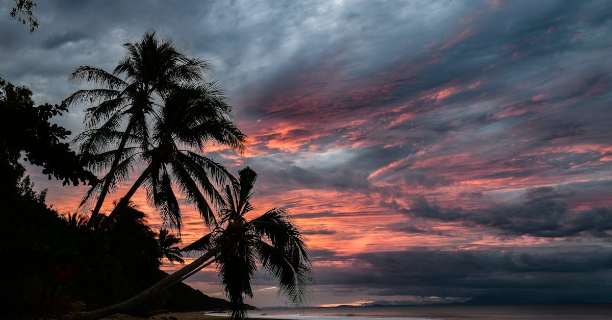 entdecken sie die unverzichtbaren essentials für ihren perfekten strandtag! von bequemen badesachen bis hin zu praktischem zubehör – alles, was sie für einen sonnigen tag am meer brauchen.