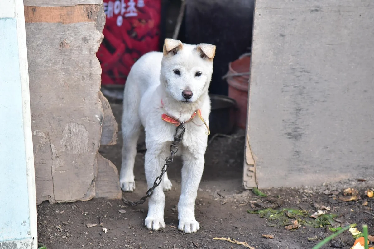 Tragehilfen für Neugeborene im Test 2026: Die besten Modelle