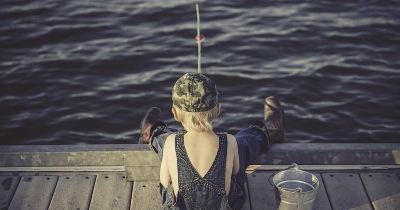 Angeln in Schweden: Die besten Spots, Tipps und Tricks